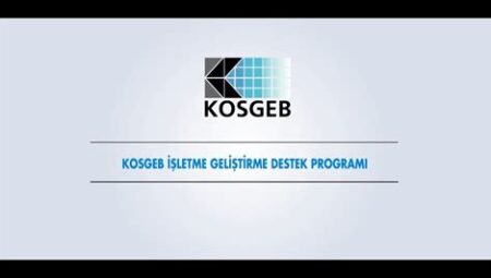 KOBİ'lere İşletme Geliştirme Destek Programı