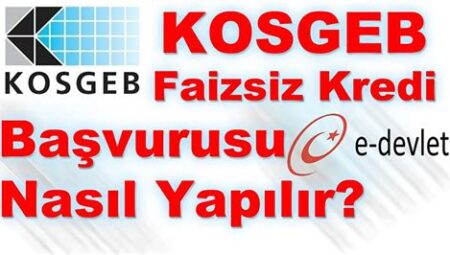 KOSGEB Girişimcilik Destek Programı Başvurusu