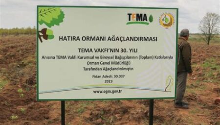 TEMA Vakfı Ağaçlandırma Projelerine Destek Başvurusu